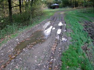 IMG_1582.jpg