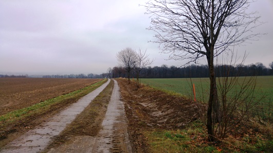20161209_115052k.jpg